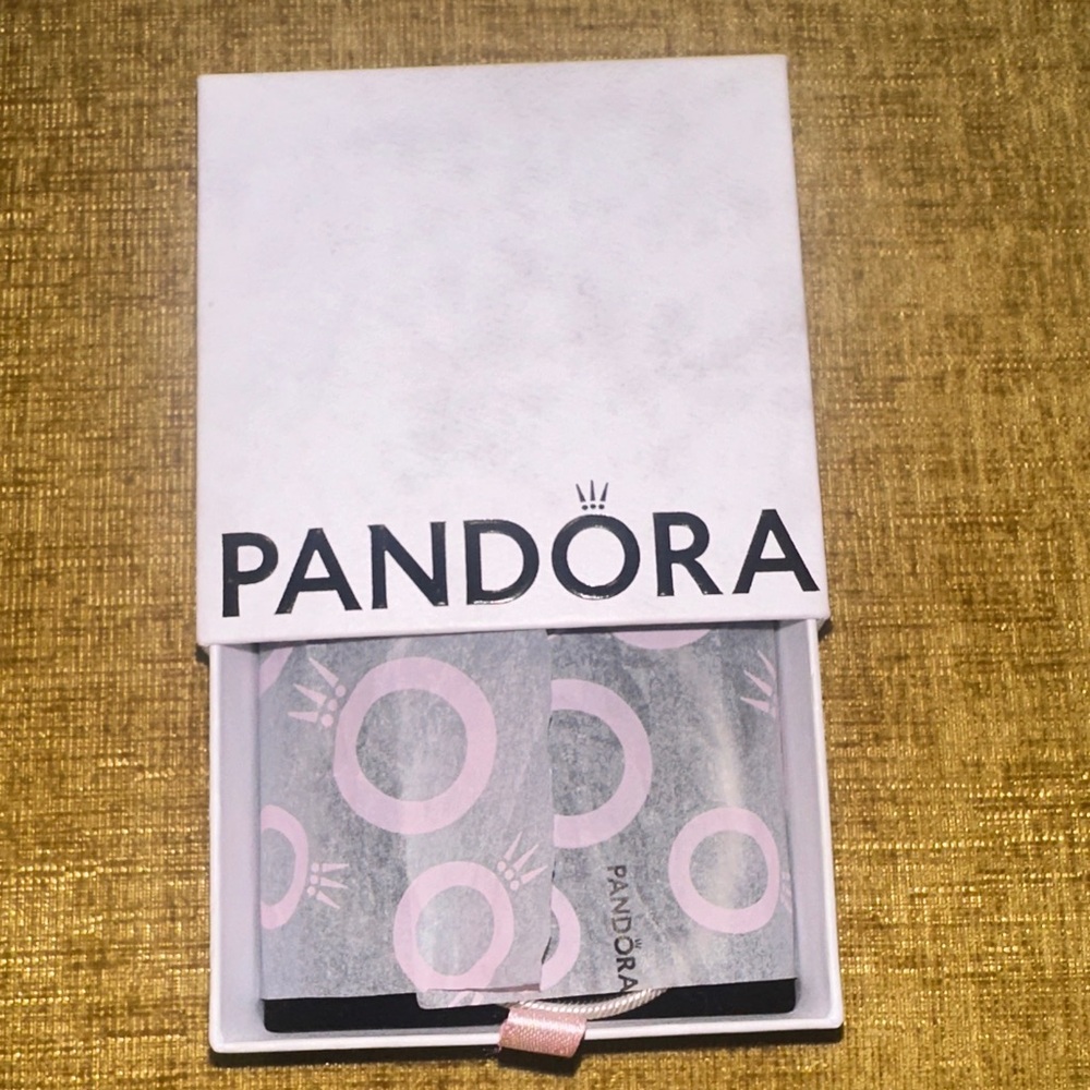 Pandora Silver Charm Bracelet - Picture 5 of 6